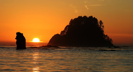 Cape Alava