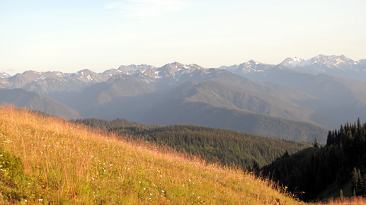 Olympic National Park